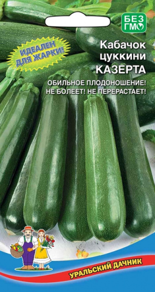 Кабачок Казерта цукини УД Кабачок Казерта цукини УД