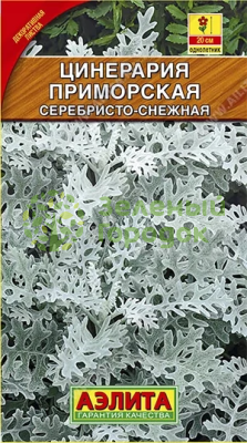 Цинерария Серебристо-снежная приморская АЭ 0,1г Цинерария Серебристо-снежная приморская АЭ 0,1г