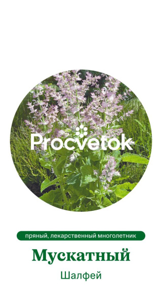Шалфей Мускатный Германия Pro 0,2г Шалфей Мускатный Германия Pro 0,2г