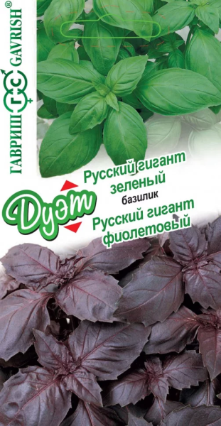 Базилик Русский гигант зеленый 0,15г + фиолетовый 0,15г серия Дуэт
