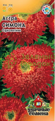 Астра Симона Принцесса красная ГВ 0,3г