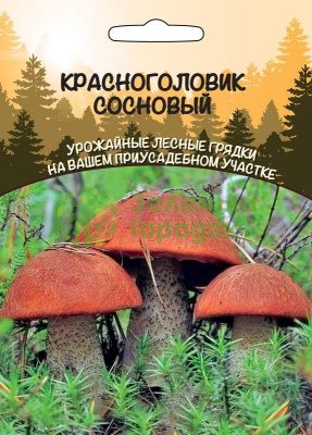 Красноголовик Сосновый ССПК Б/Ф 30мл