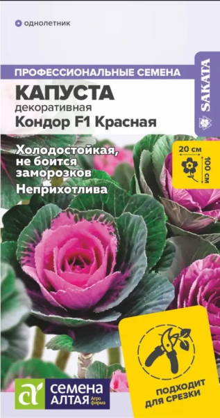 Капуста декоративная Кондор F1 Красная SA 5шт Капуста декоративная Кондор F1 Красная SA 5шт