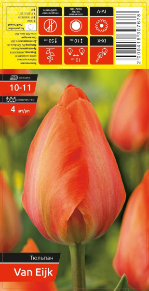 Тюльпан VAN EIJK 10-11 каперс 4шт/уп (уценка, только самовывоз)