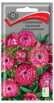 Гелихризум Королевский размер малиновый (ЦВ) 0,1г