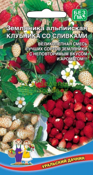 Земляника Клубника со сливками альпийская спецсмесь УД 0,05г Земляника Клубника со сливками альпийская спецсмесь УД 0,05г