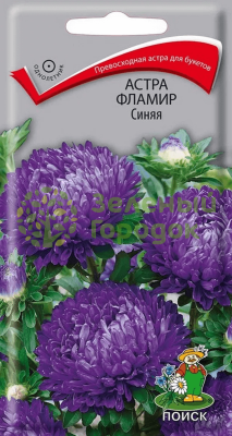 Астра Фламир Синяя (ЦВ) 0,3г Астра Фламир Синяя (ЦВ) 0,3г