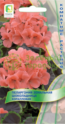 Пеларгония зональная Шоколадница Коралловая (ЦВ) 5шт Пеларгония зональная Шоколадница Коралловая (ЦВ) 5шт