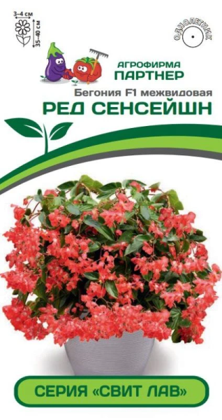 Бегония межвидовая серия "Свит Лав" РЕД СЕНСЕЙШН F1 4шт в амп