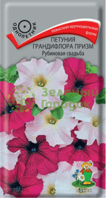 Петуния грандифлора призм Рубиновая свадьба (ЦВ) 20шт Петуния грандифлора призм Рубиновая свадьба (ЦВ) 20шт