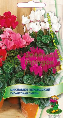 Цикламен персидский Гигантская смесь (ЦВ) 2шт Цикламен персидский Гигантская смесь (ЦВ) 2шт