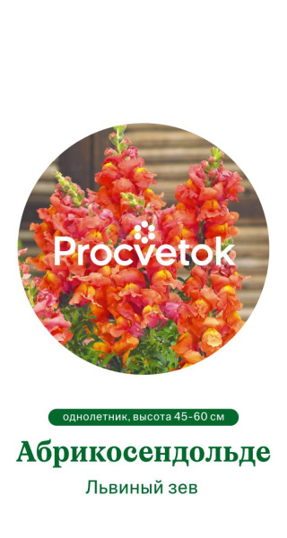 Львиный зев Абрикосендольде Германия Pro 0,2г