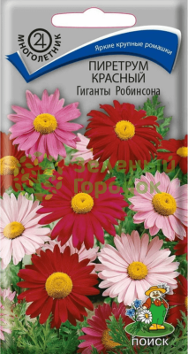 Пиретрум красный Гиганты Робинсона (ЦВ) 0,2г Пиретрум красный Гиганты Робинсона (ЦВ) 0,2г