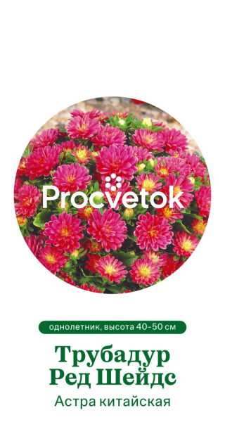 Астра китайская Трубадур Ред Шейдс Германия Pro 5шт