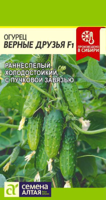Огурец Верные друзья F1 SA 5шт Огурец Верные друзья F1 SA 5шт