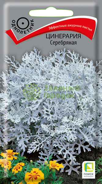 Цинерария Серебряная (ЦВ) 0,2г Цинерария Серебряная (ЦВ) 0,2г