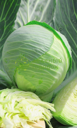 Капуста б/к Морозко (Марс) белый пакет 0,3г