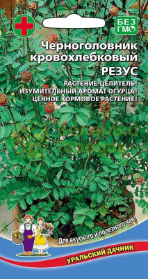 Черноголовник кровохлебковый Резус УД 15шт
