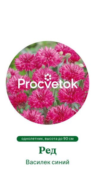 Василек синий Ред Германия Pro 1г