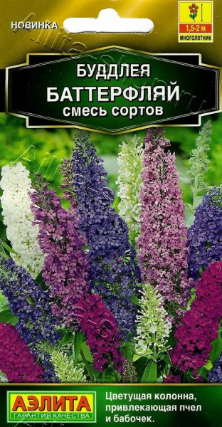Буддлея Баттерфляй смесь сортов АЭ 8шт