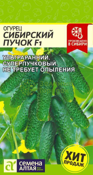Огурец Сибирский Пучок F1 SA 5шт Огурец Сибирский Пучок F1 SA 5шт