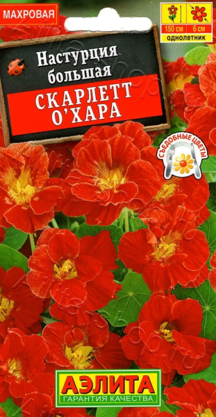 Настурция Скарлетт О'Хара вьющаяся АЭ 1г Настурция Скарлетт О'Хара вьющаяся АЭ 1г
