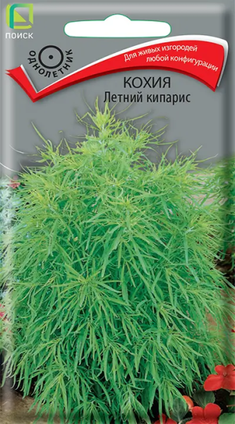 Кохия Летний кипарис (ЦВ) 0,2г Кохия Летний кипарис (ЦВ) 0,2г