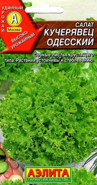 Салат Кучерявец Одесский полукочанный АЭ 0,5г Салат Кучерявец Одесский полукочанный АЭ 0,5г