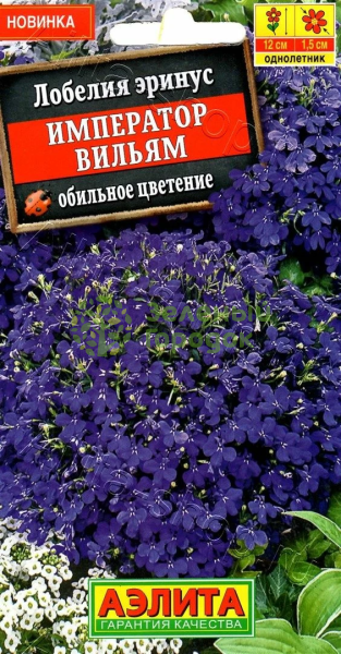 Лобелия Император Вильям АЭ 0,05г Лобелия Император Вильям АЭ 0,05г