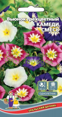 Вьюнок трехцветный Камеди смесь УД 12шт