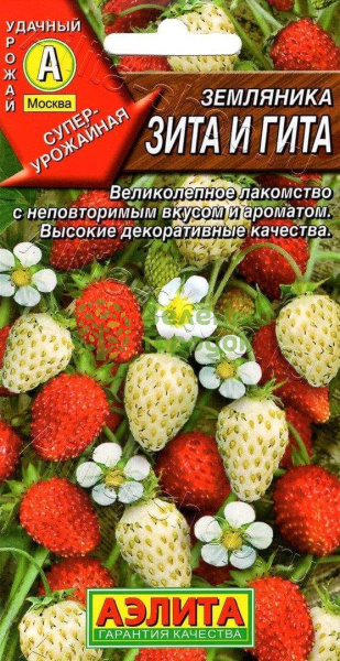 Земляника Зита и Гита АЭ 0,04г Земляника Зита и Гита АЭ 0,04г