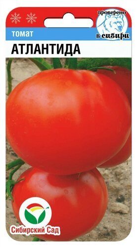 Томат Атлантида СИБ 20шт