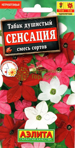 Табак душистый Сенсация смесь АЭ 0,3г Табак душистый Сенсация смесь АЭ 0,3г