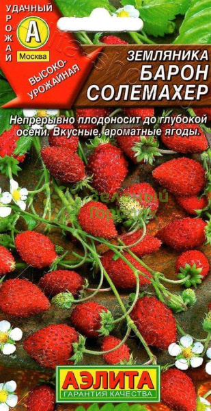 Земляника Барон Солемахер АЭ 0,04г Земляника Барон Солемахер АЭ 0,04г