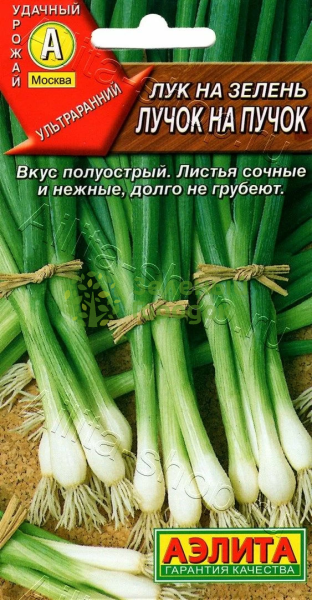Лук на зелень Лучок на пучок АЭ 0,5г