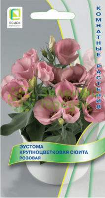 Эустома Сюита Розовая (крупноцв.) (ЦВ) 5шт