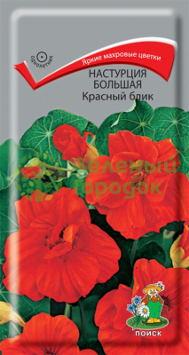 Настурция большая Красный блик (ЦВ) 1г Настурция большая Красный блик (ЦВ) 1г