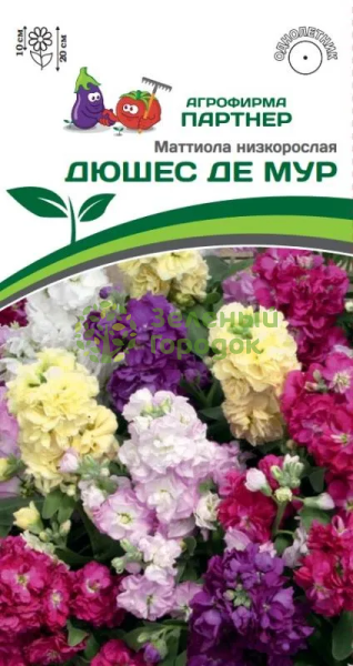 Маттиола низкорослая ДЮШЕС ДЕ МУР 2-ной пак. 10шт Маттиола низкорослая ДЮШЕС ДЕ МУР 2-ной пак. 10шт