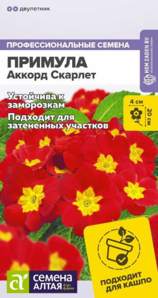 Примула Аккорд Скарлет SA 5шт Примула Аккорд Скарлет SA 5шт