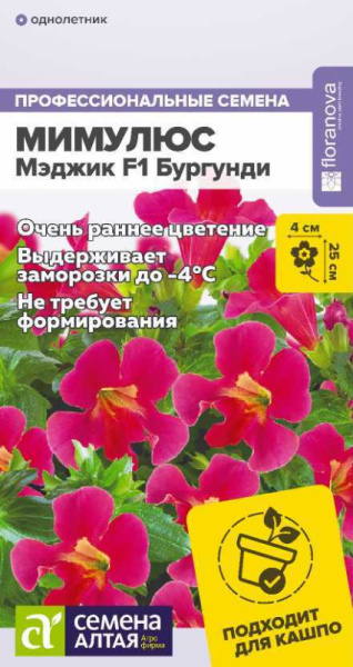 Мимулюс Мэджик F1 Бургунди SA 10шт