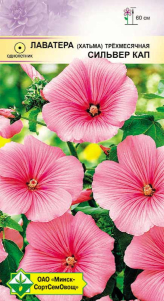Лаватера трехмесячная Сильвер Кап МССО 0,5г