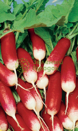 Редис Ария (Марс) белый пакет 2г Редис Ария (Марс) белый пакет 2г