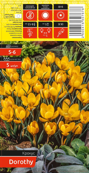 Крокус DOROTHY 5-6 каперс 5шт/уп (уценка, только самовывоз)