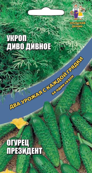 Укроп Диво дивное + Огурец Президент корнишон Два урожая Укроп Диво дивное + Огурец Президент корнишон Два урожая