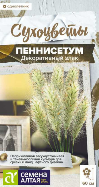 Пеннисетум мохнатый злак декоративный SA 5шт