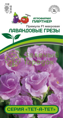 Примула махровая серия "Тет-а-Тет" ЛАВАНДОВЫЕ ГРЕЗЫ F1 5шт в амп
