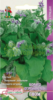 Бораго (огуречная трава) Гном (ЦВ) 0,5г