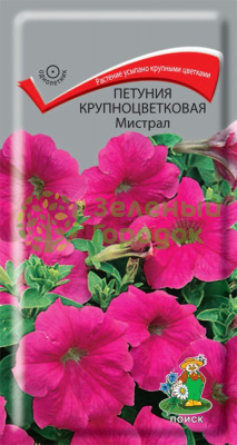 Петуния крупноцветковая Мистрал (ЦВ) 20шт Петуния крупноцветковая Мистрал (ЦВ) 20шт