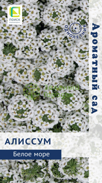 Алиссум Белое море (ЦВ) 0,3г Алиссум Белое море (ЦВ) 0,3г