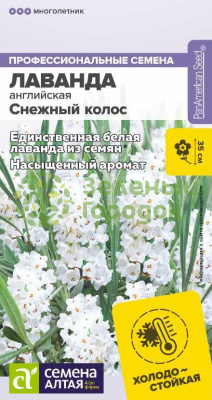 Лаванда Снежный колос английская SA 5шт